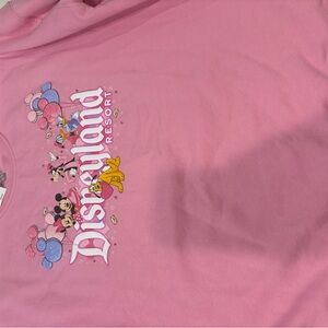 Disney parks current seasons-  Pink Sweatshirt with Mickey and Friends